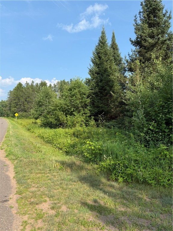 0 Tagalder Trail Hayward, WI 54843 - Photo 23 of 23