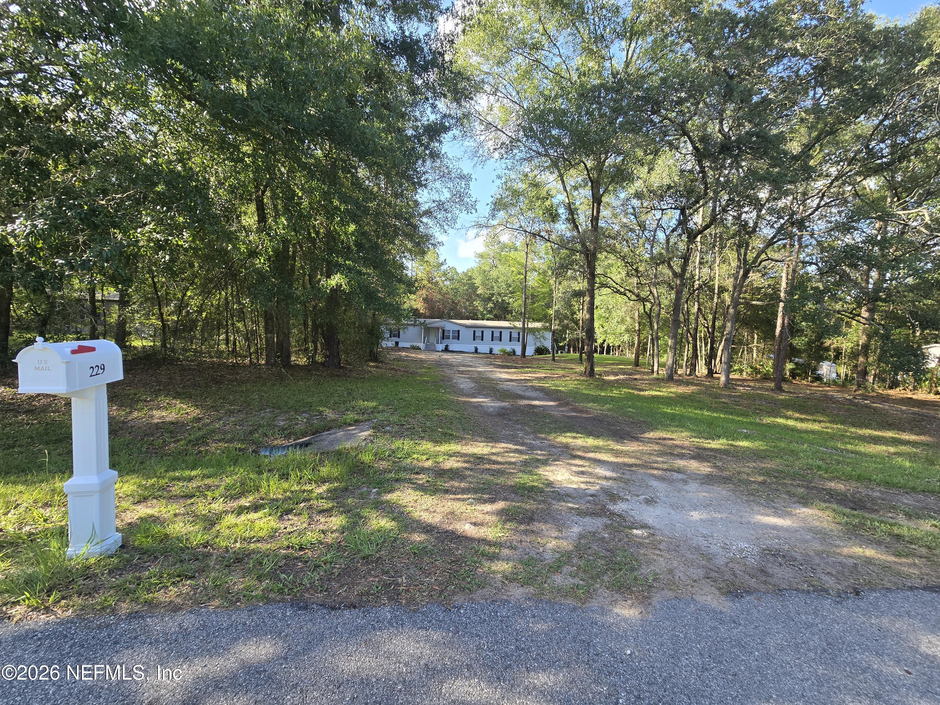 229 Dolphin Circle Middleburg, FL 32068 - Photo 23 of 25 1000084474