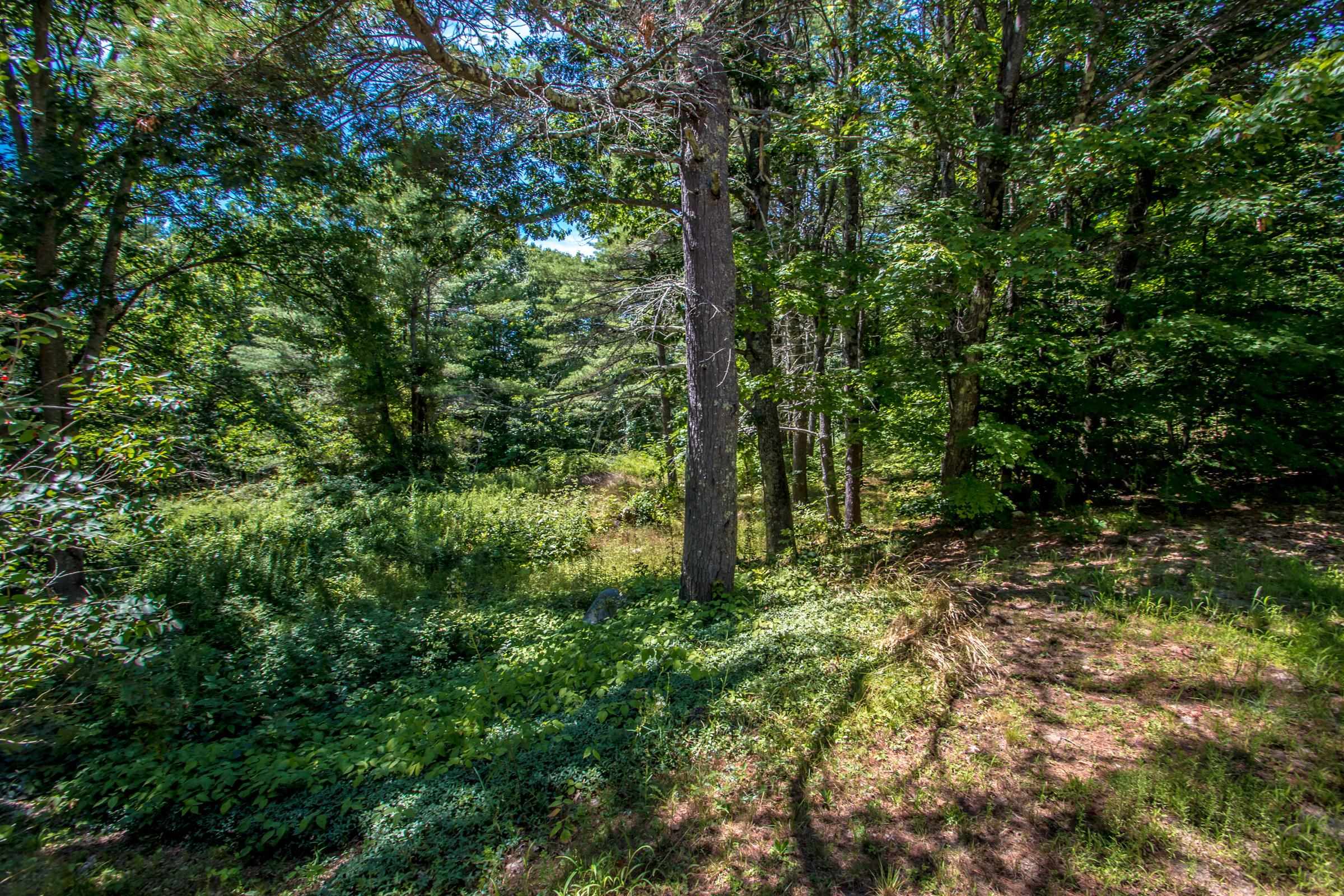 471 Wentworth Road Brookfield, NH 03872 - Photo 30 of 43