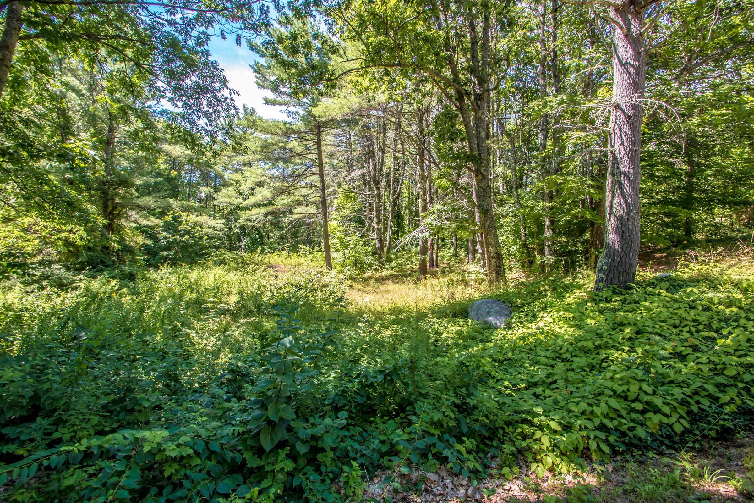 471 Wentworth Road Brookfield, NH 03872 - Photo 36 of 43