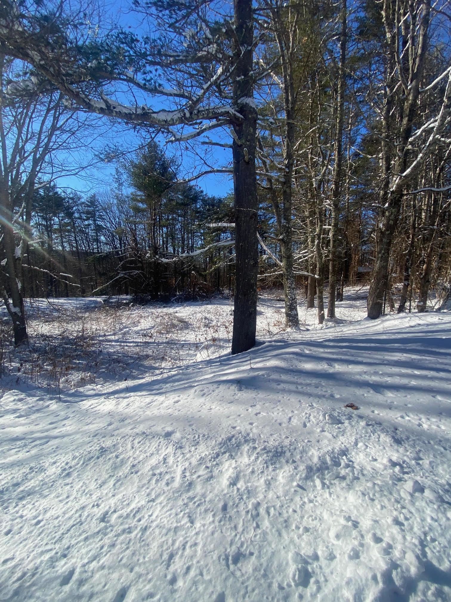 471 Wentworth Road Brookfield, NH 03872 - Photo 39 of 43