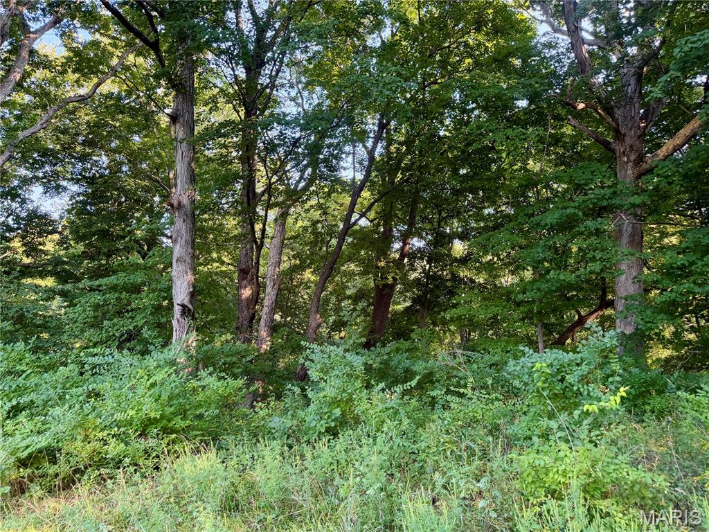 0 County Road Strasburg, IL 62465 - Photo 51 of 97 Gallery Image 51