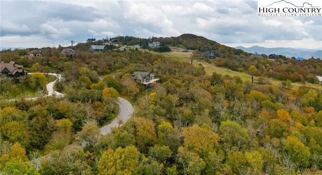 a view of a yard and trees