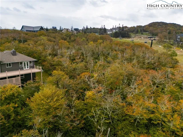 a view of a field with an trees