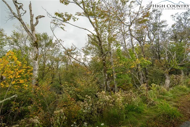 $355,000 | Oz Road, Beech Mountain, NC 28604