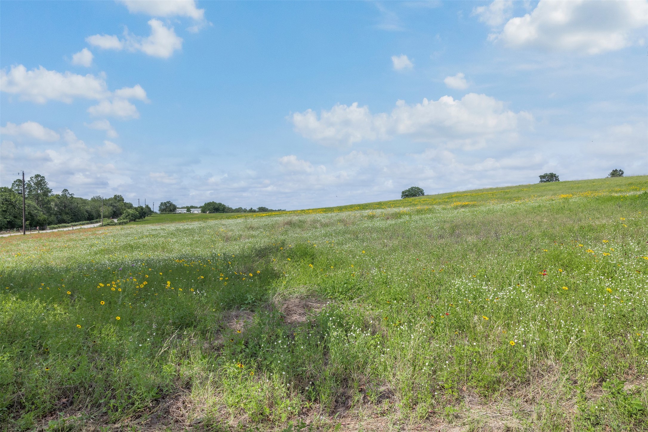 622 Red Rock Ranch Road Red Rock, TX 78662 - Photo 2 of 46 a backyard of a house with lots of green space
