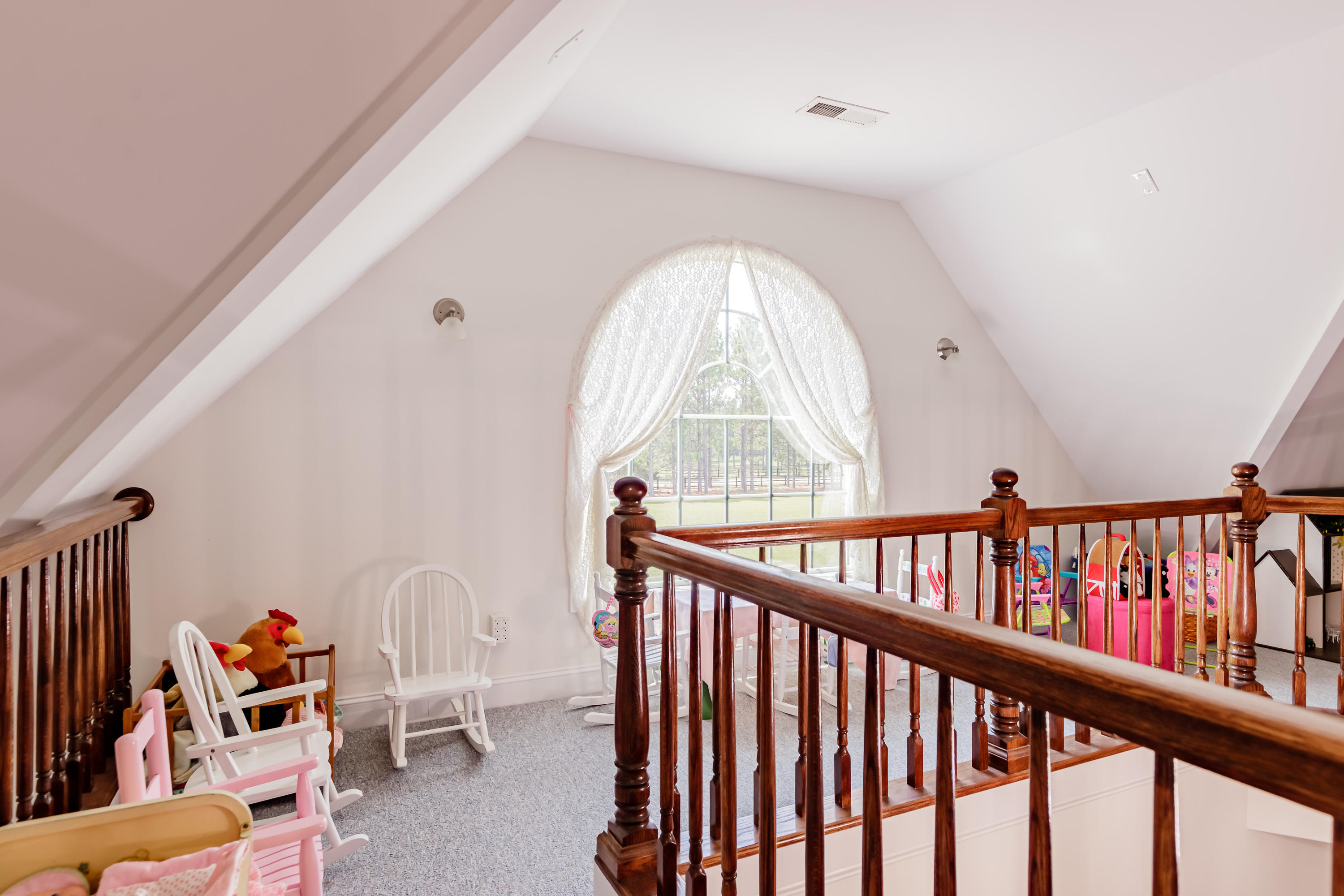 707 Youngs Road Vass, NC 28394 - Photo 23 of 53 paladinfarm-29