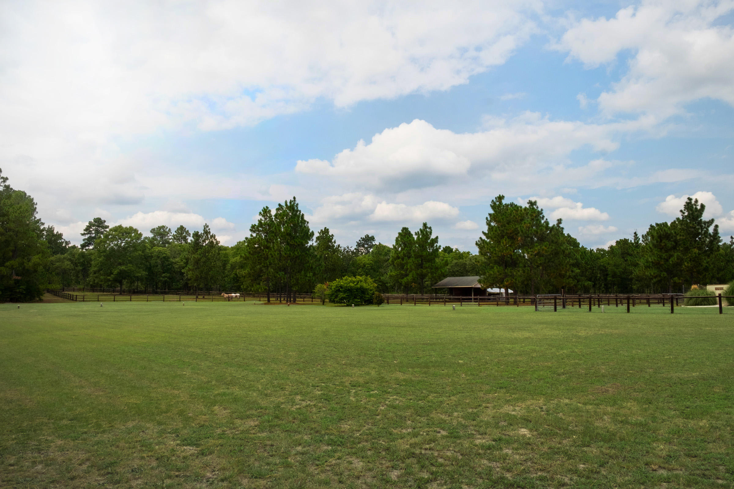 707 Youngs Road Vass, NC 28394 - Photo 44 of 53 Dressage Field