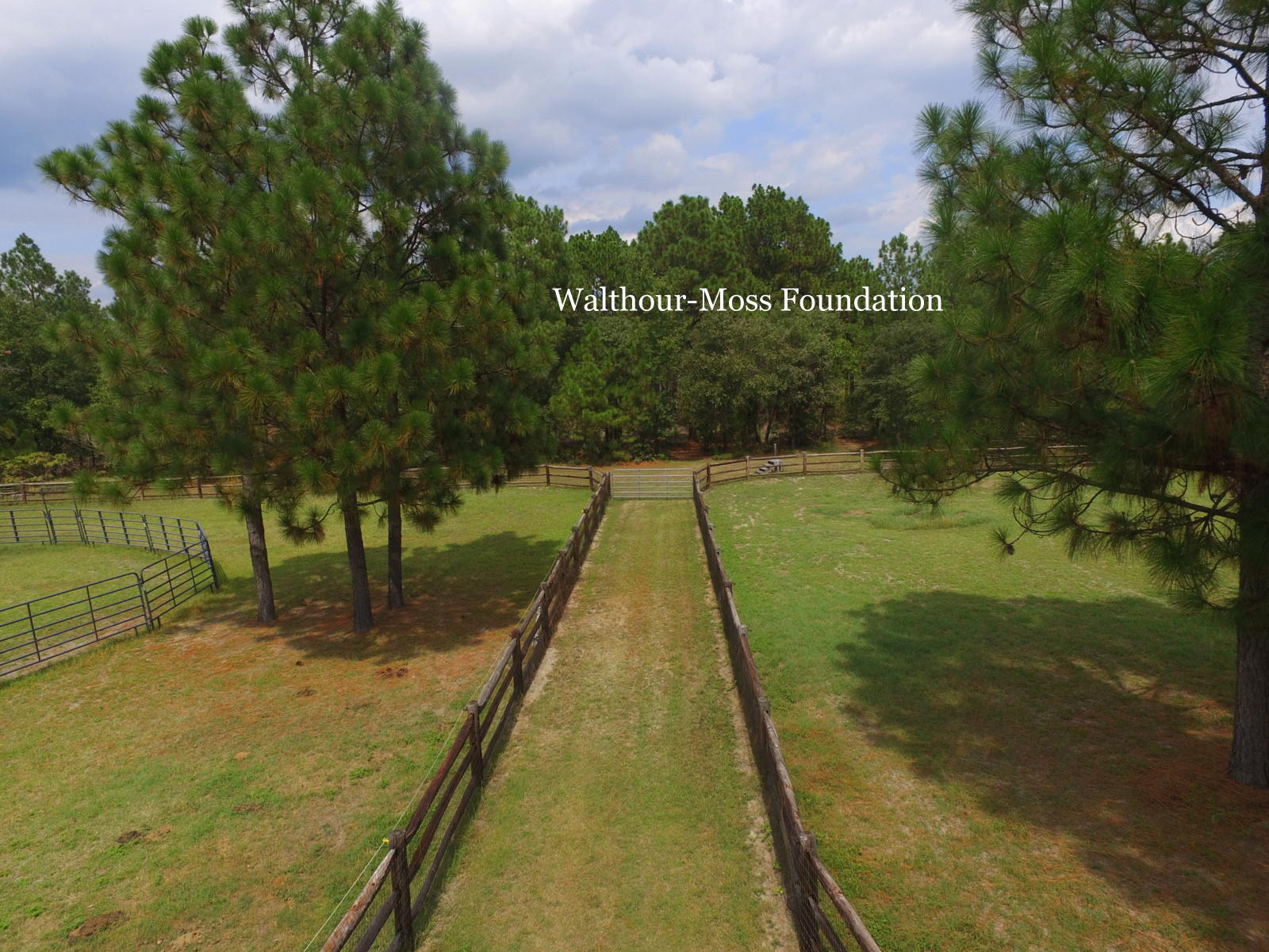 707 Youngs Road Vass, NC 28394 - Photo 46 of 53 DJI_0321
