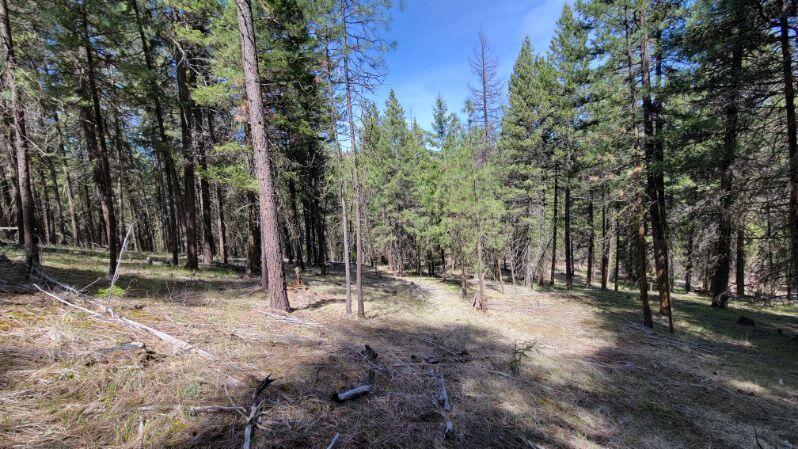 1315 Lofton Creek Road Prineville, OR 97754 - Photo 55 of 61 image000004 (7)