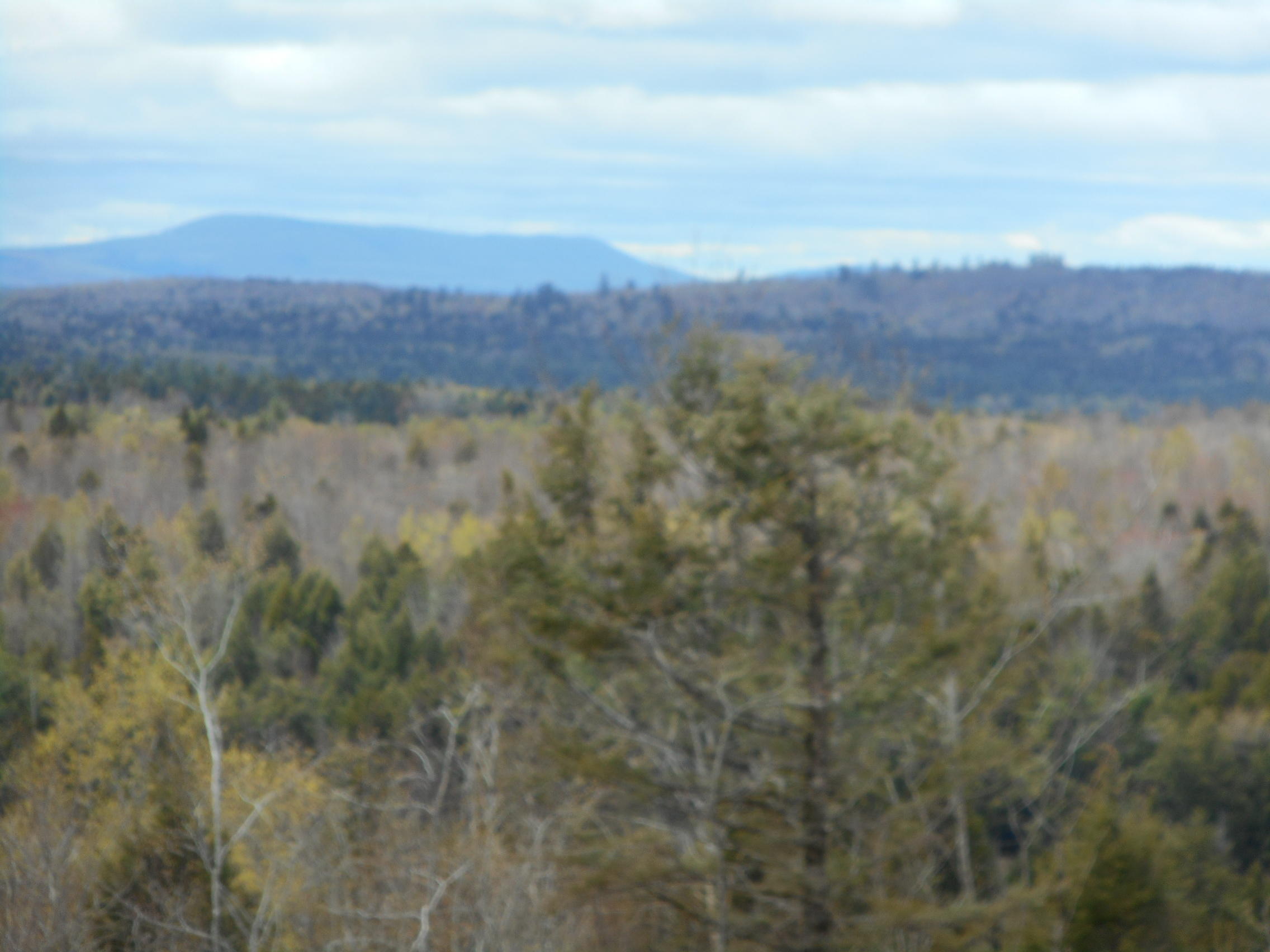 33-acres Upper Pug Road Lakeville, ME 04487 - Photo 2 of 13 DSCN2073