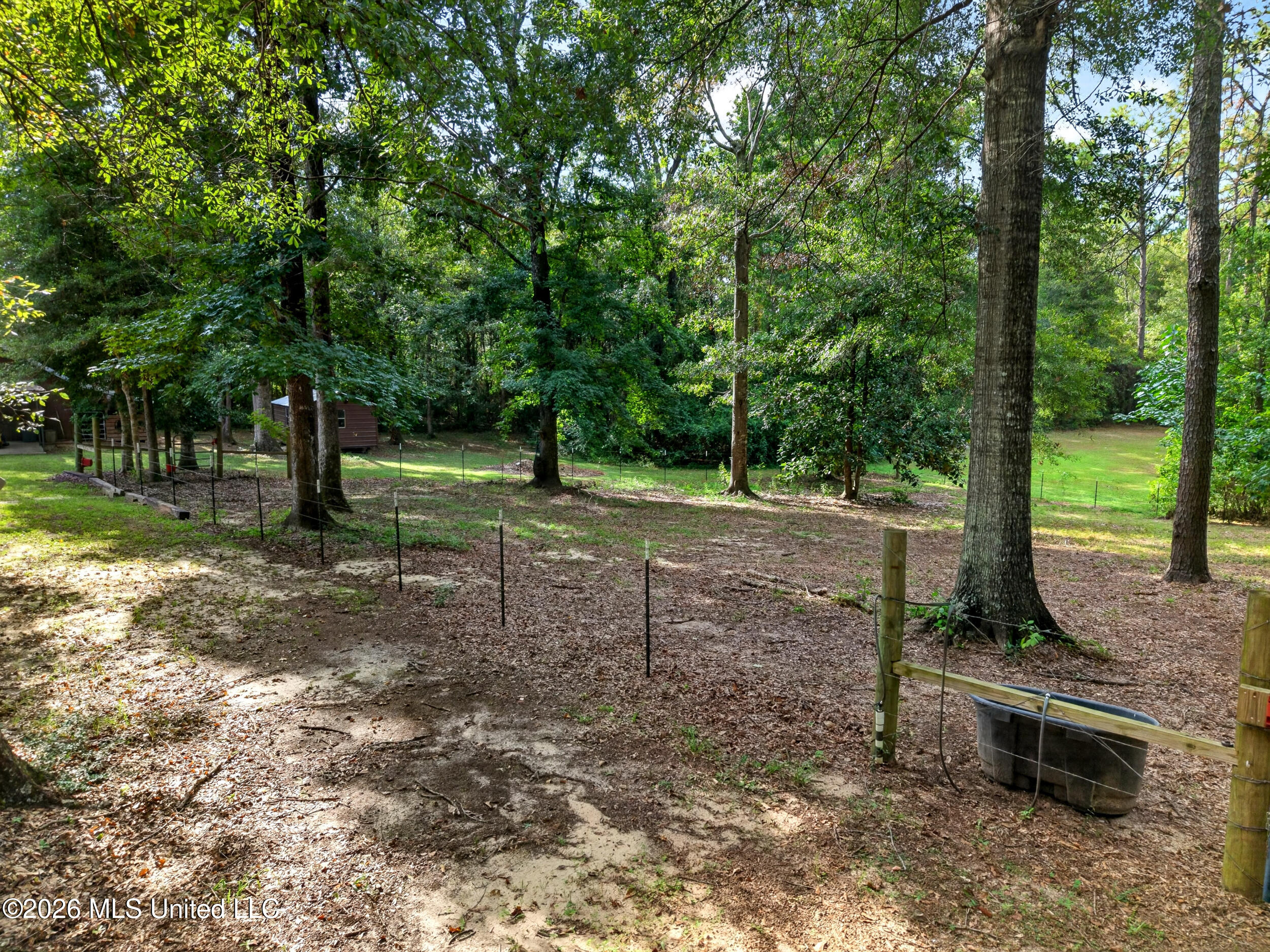 61 Pinetucky Road Carriere, MS 39426 - Photo 35 of 84 IMG_1373