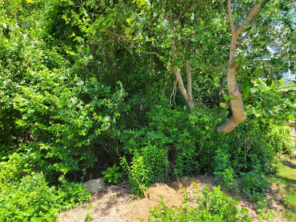 368 Shore Road Westerly, RI 02891 - Photo 3 of 7