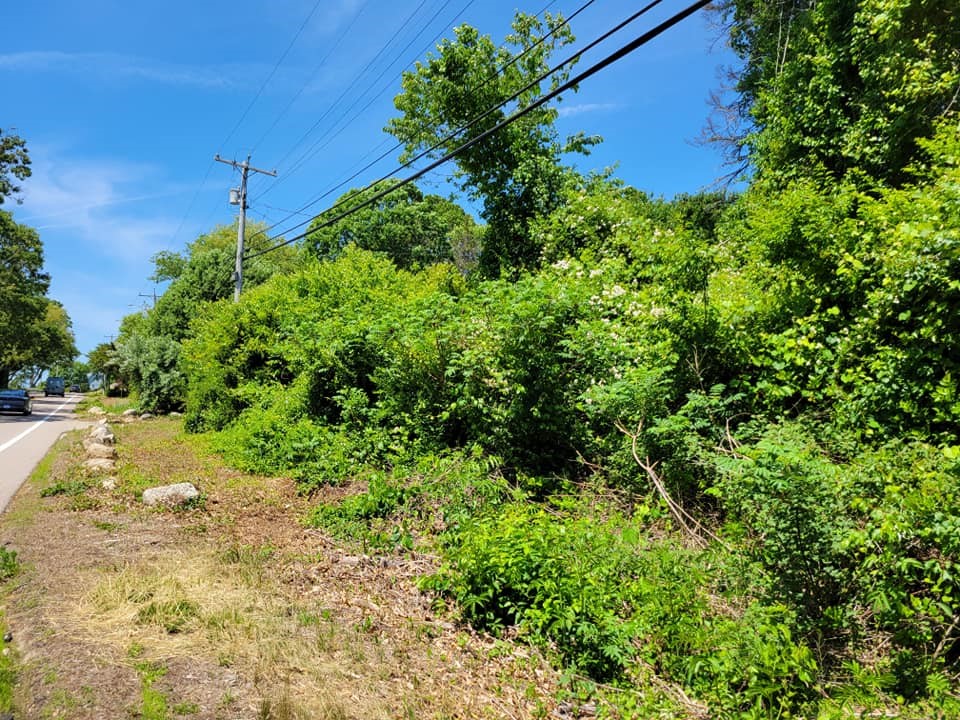 368 Shore Road Westerly, RI 02891 - Photo 4 of 7