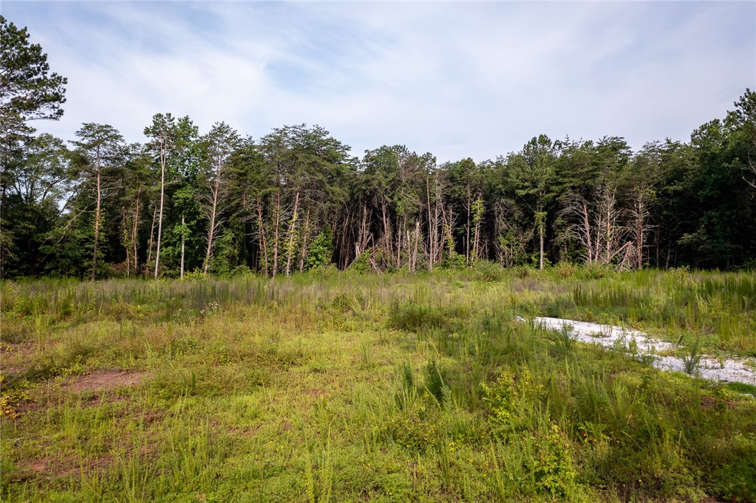 4 Five Forks Road Pendleton, SC 29670 - Photo 11 of 12