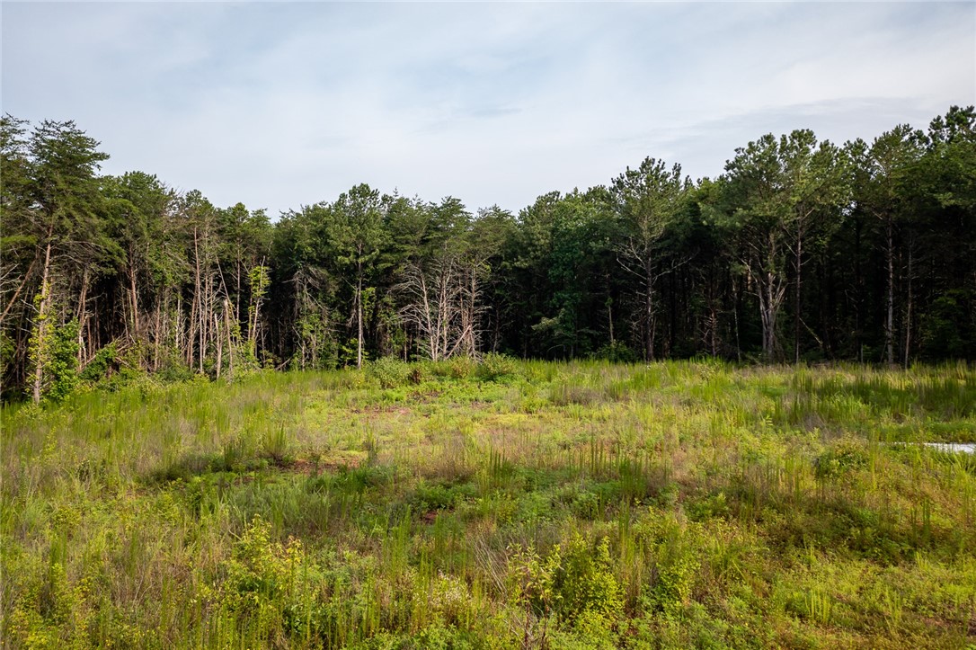 4 Five Forks Road Pendleton, SC 29670 - Photo 12 of 12