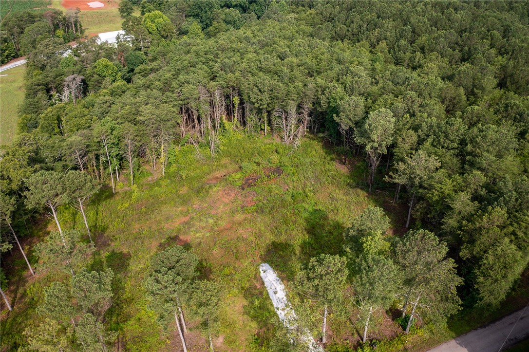 4 Five Forks Road Pendleton, SC 29670 - Photo 3 of 12