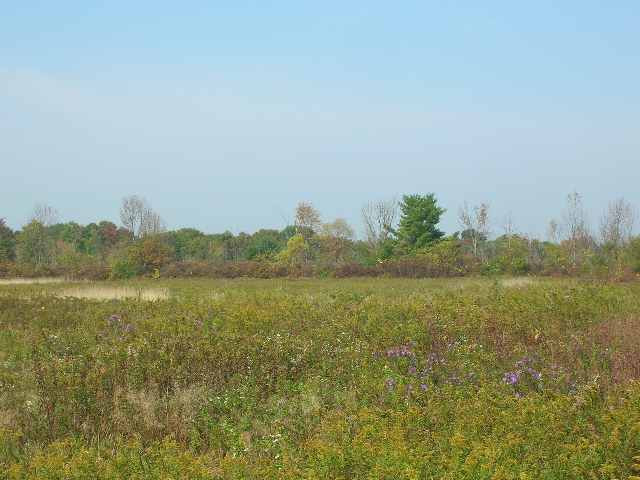 Thayer Road Amsterdam, NY 12010 - Photo 1 of 3 Photo 1