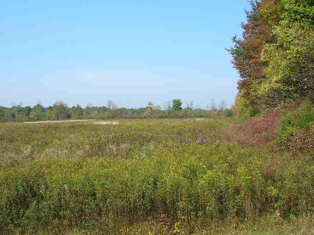 Thayer Road Amsterdam, NY 12010 - Photo 3 of 3 Photo 3