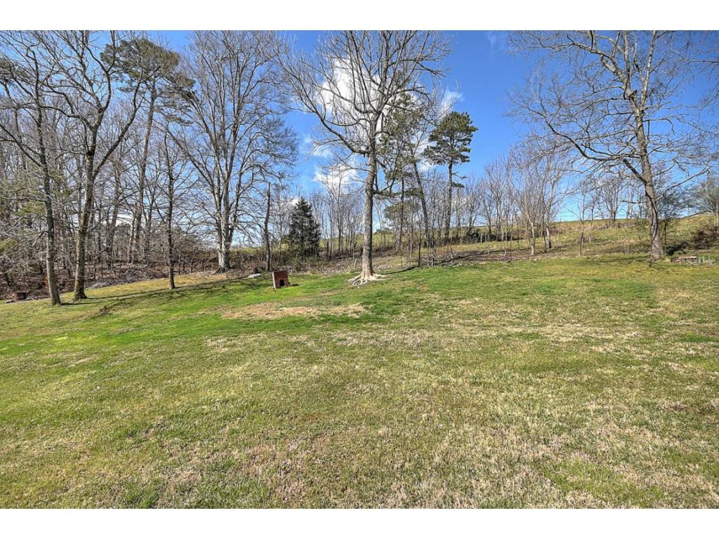 1170 Bill Jones Road Afton, TN 37616 - Photo 34 of 36 Photo 34