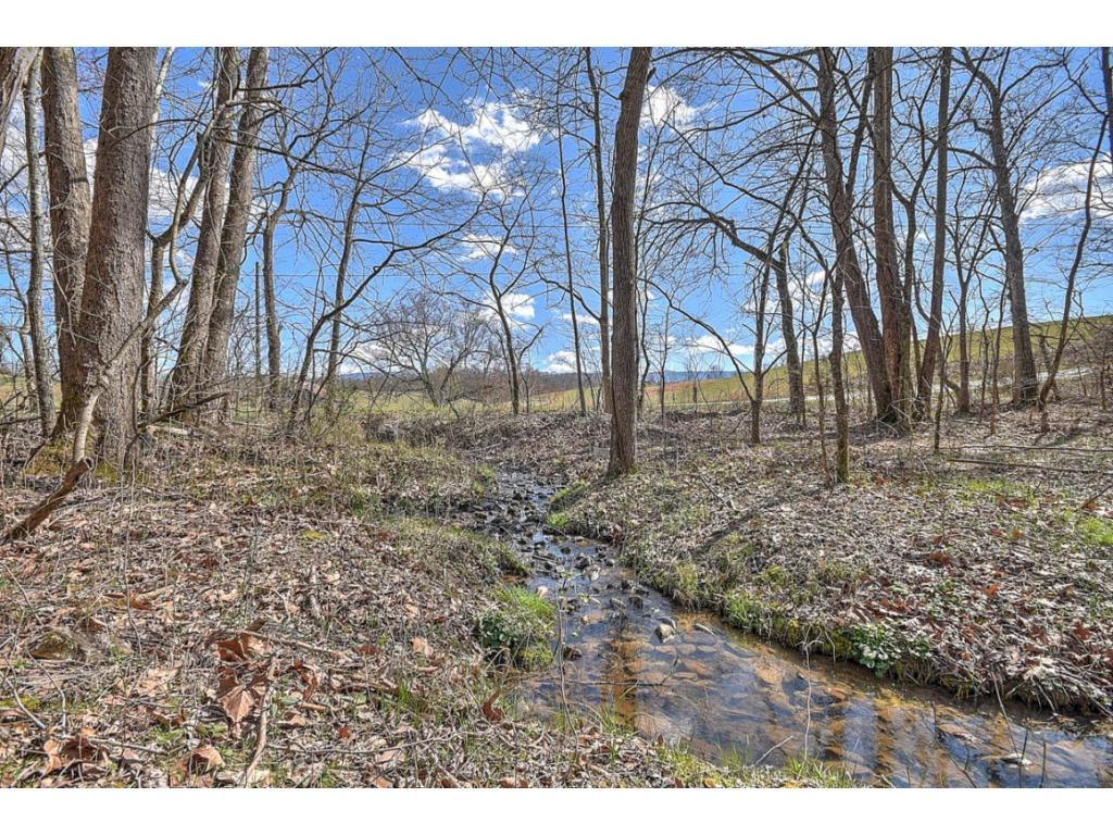 1170 Bill Jones Road Afton, TN 37616 - Photo 36 of 36 Photo 36