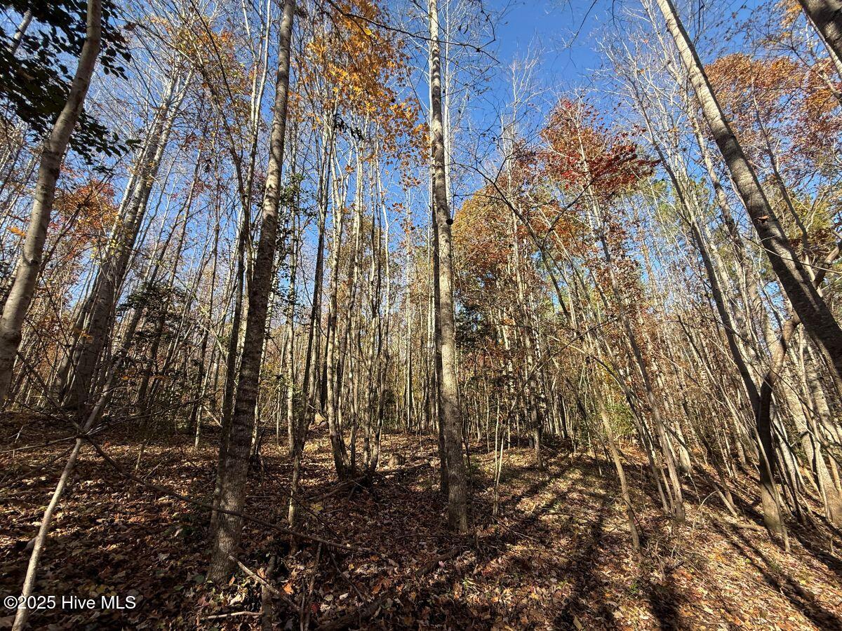 Lot 1 Russell Union Road Manson, NC 27553 - Photo 16 of 60 16