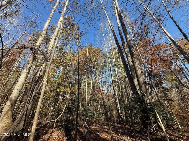$69,900 | Lot 1 Russell Union Road, Manson, NC 27553