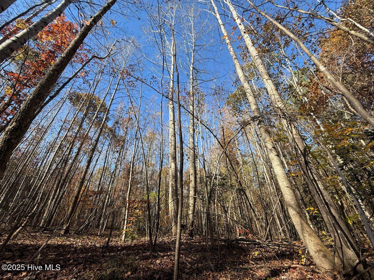 Lot 1 Russell Union Road Manson, NC 27553 - Photo 18 of 60 18