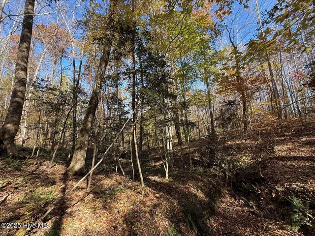 $69,900 | Lot 1 Russell Union Road, Manson, NC 27553