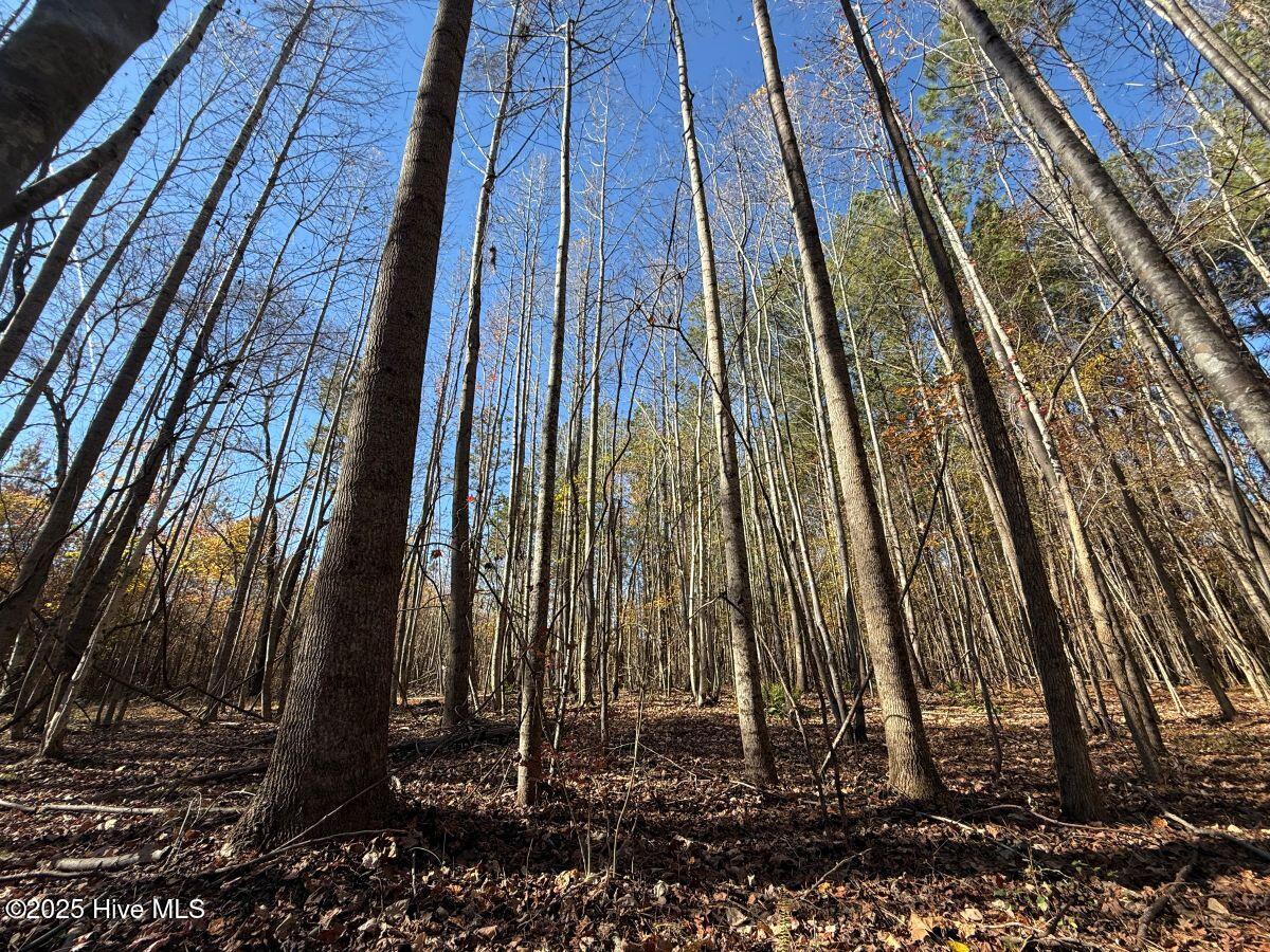 Lot 1 Russell Union Road Manson, NC 27553 - Photo 20 of 60 20