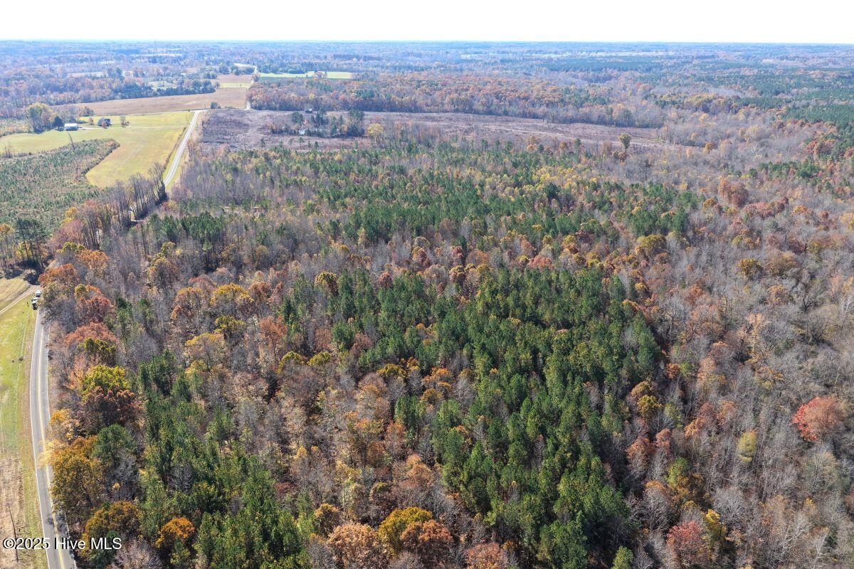 Lot 1 Russell Union Road Manson, NC 27553 - Photo 22 of 60 22