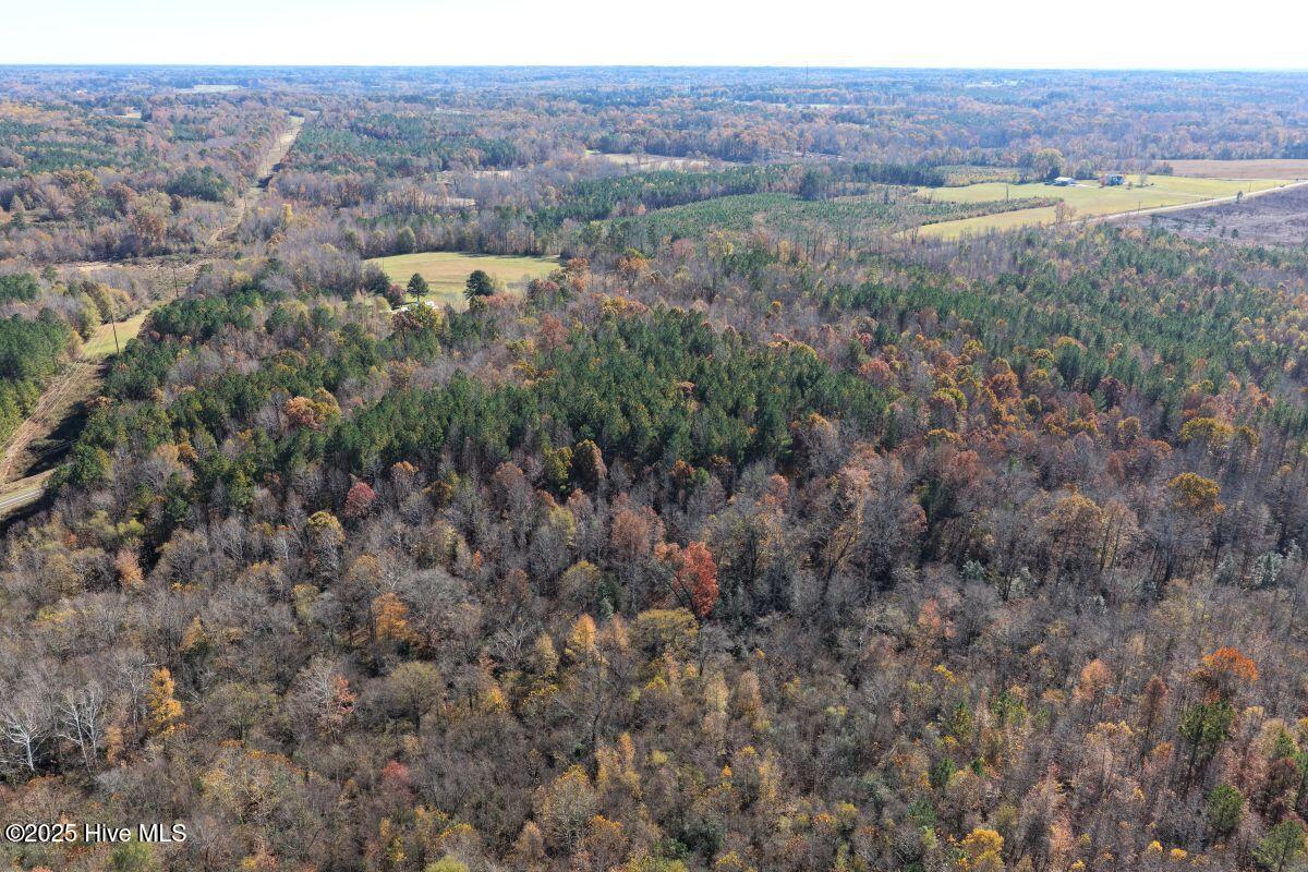 Lot 1 Russell Union Road Manson, NC 27553 - Photo 24 of 60 24