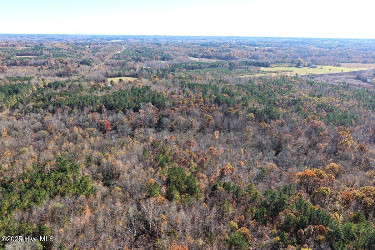 Lot 1 Russell Union Road Manson, NC 27553 - Photo 25 of 60 25
