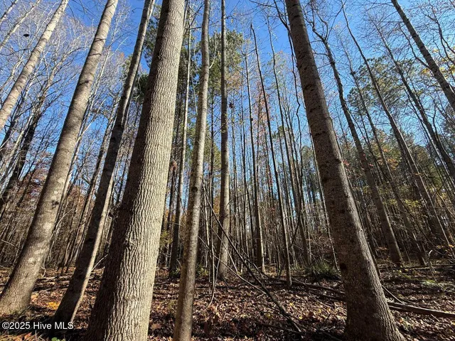 $69,900 | Lot 1 Russell Union Road, Manson, NC 27553