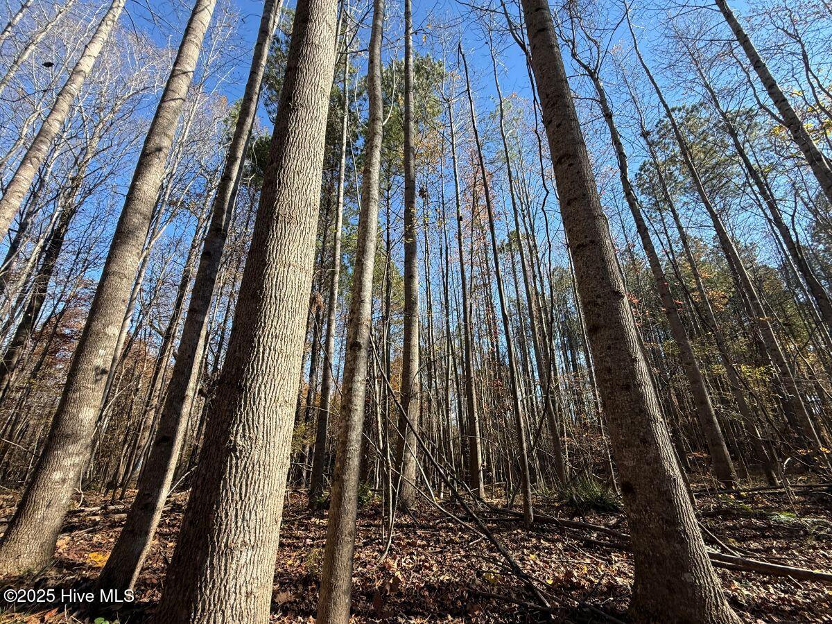 Lot 1 Russell Union Road Manson, NC 27553 - Photo 27 of 60 27