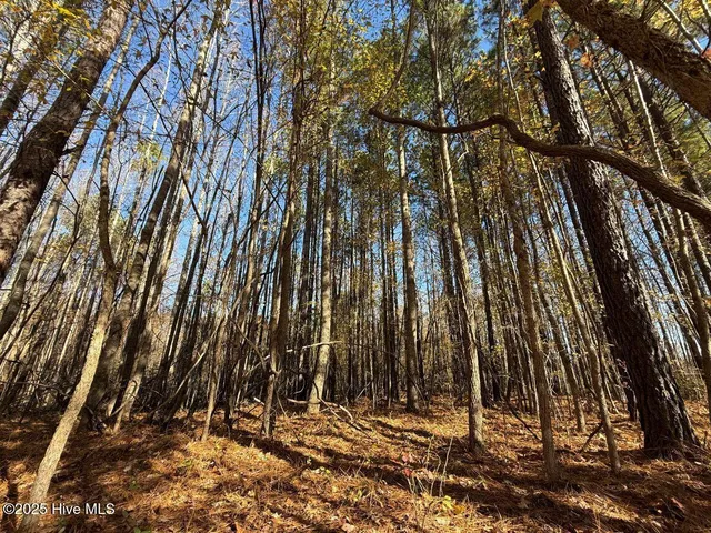 $69,900 | Lot 1 Russell Union Road, Manson, NC 27553