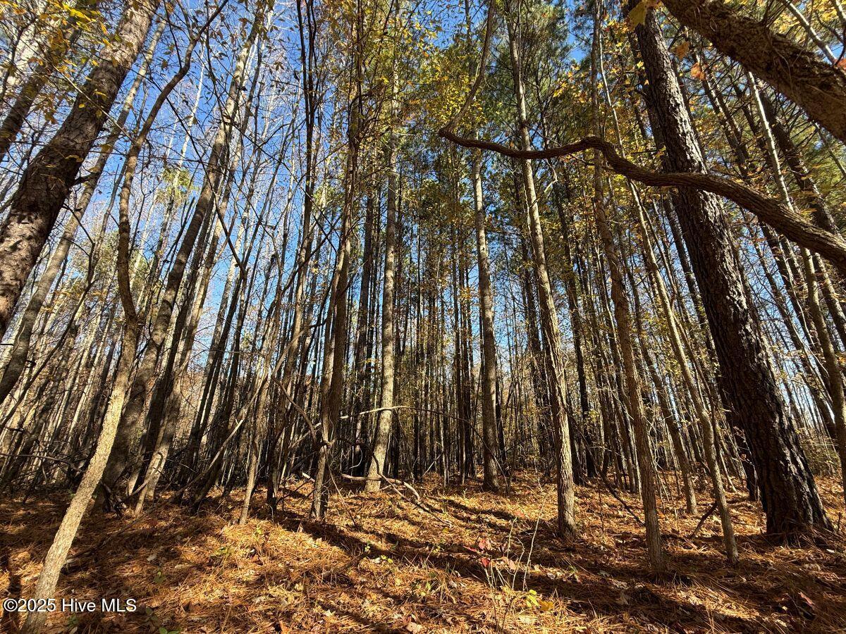 Lot 1 Russell Union Road Manson, NC 27553 - Photo 28 of 60 28