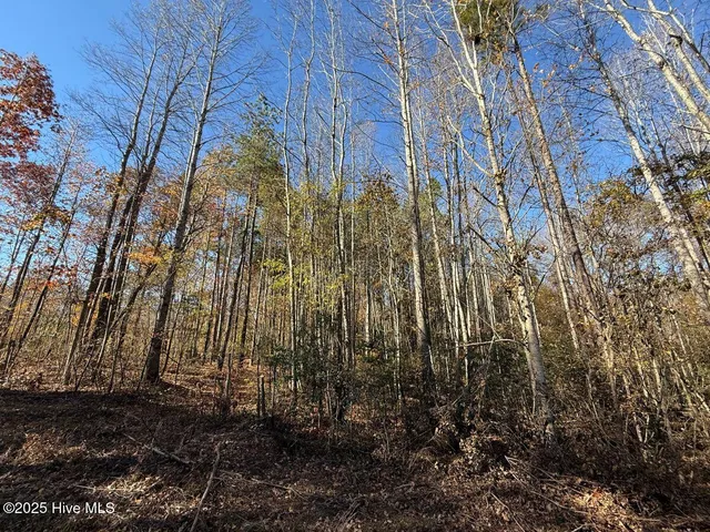 $69,900 | Lot 1 Russell Union Road, Manson, NC 27553