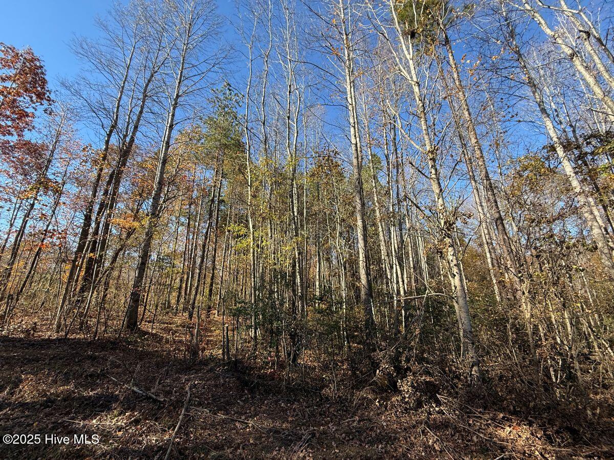 Lot 1 Russell Union Road Manson, NC 27553 - Photo 29 of 60 29