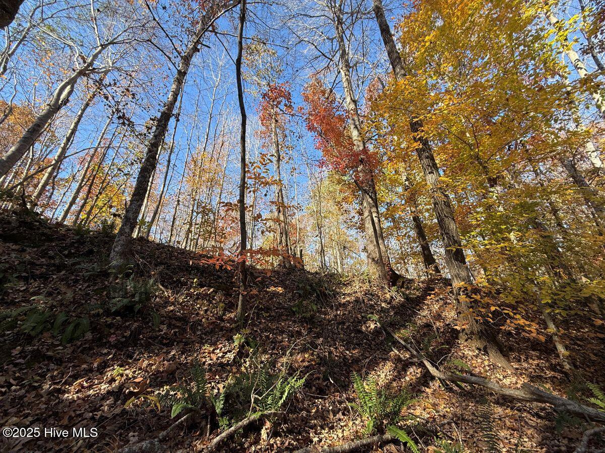 Lot 1 Russell Union Road Manson, NC 27553 - Photo 30 of 60 30