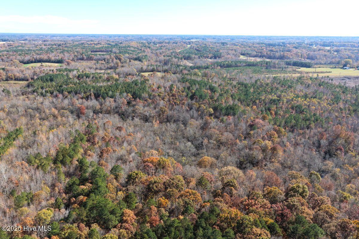 Lot 1 Russell Union Road Manson, NC 27553 - Photo 31 of 60 31