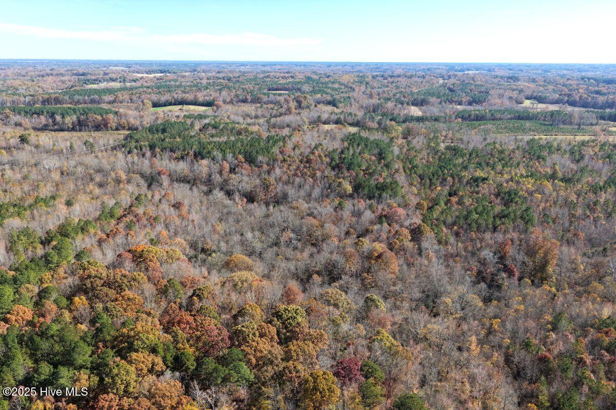 Lot 1 Russell Union Road Manson, NC 27553 - Photo 32 of 60 32