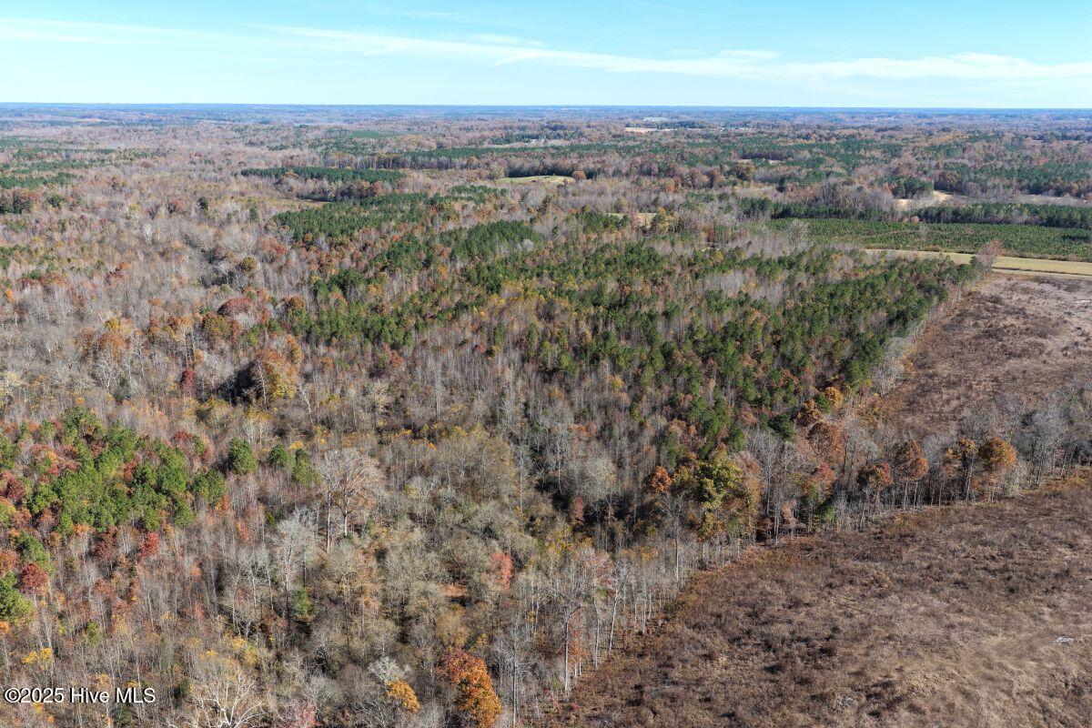 Lot 1 Russell Union Road Manson, NC 27553 - Photo 34 of 60 34