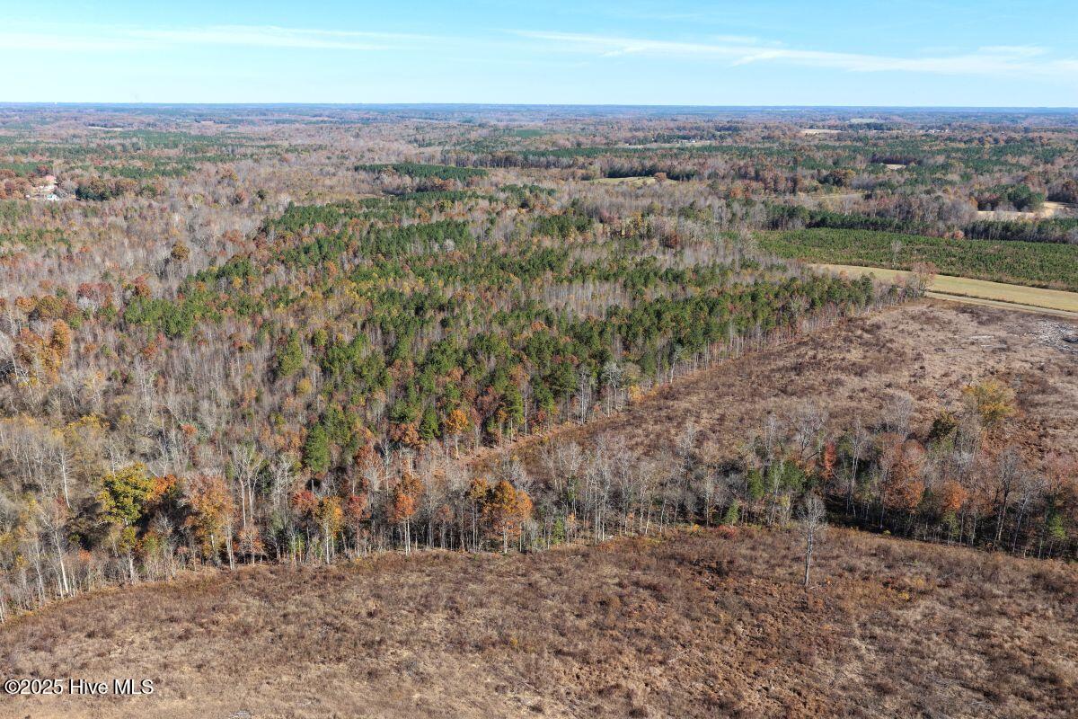 Lot 1 Russell Union Road Manson, NC 27553 - Photo 36 of 60 36