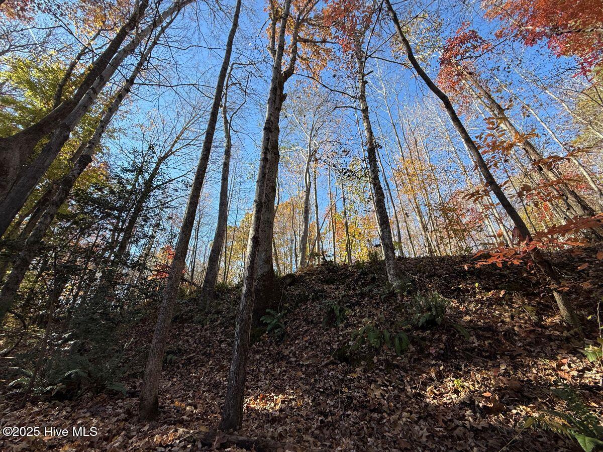 Lot 1 Russell Union Road Manson, NC 27553 - Photo 41 of 60 41