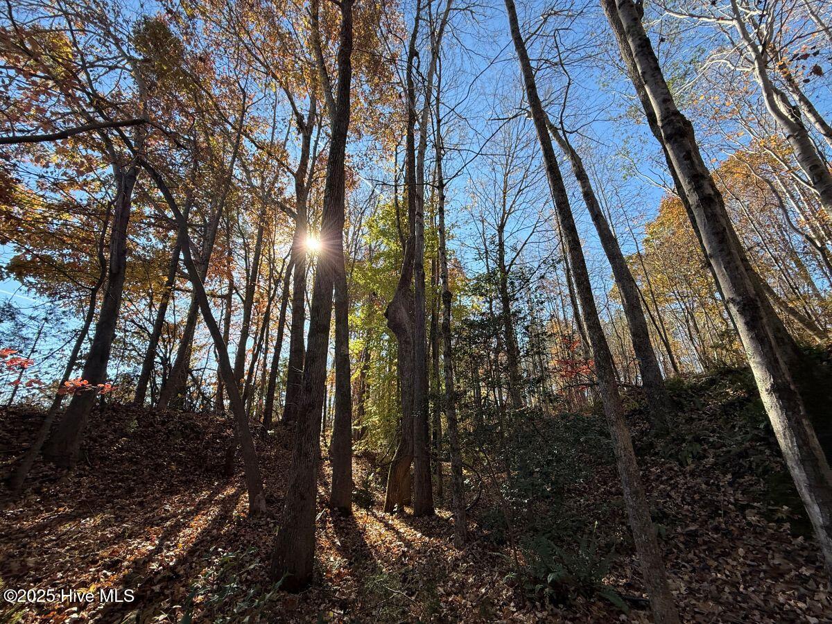 Lot 1 Russell Union Road Manson, NC 27553 - Photo 42 of 60 42