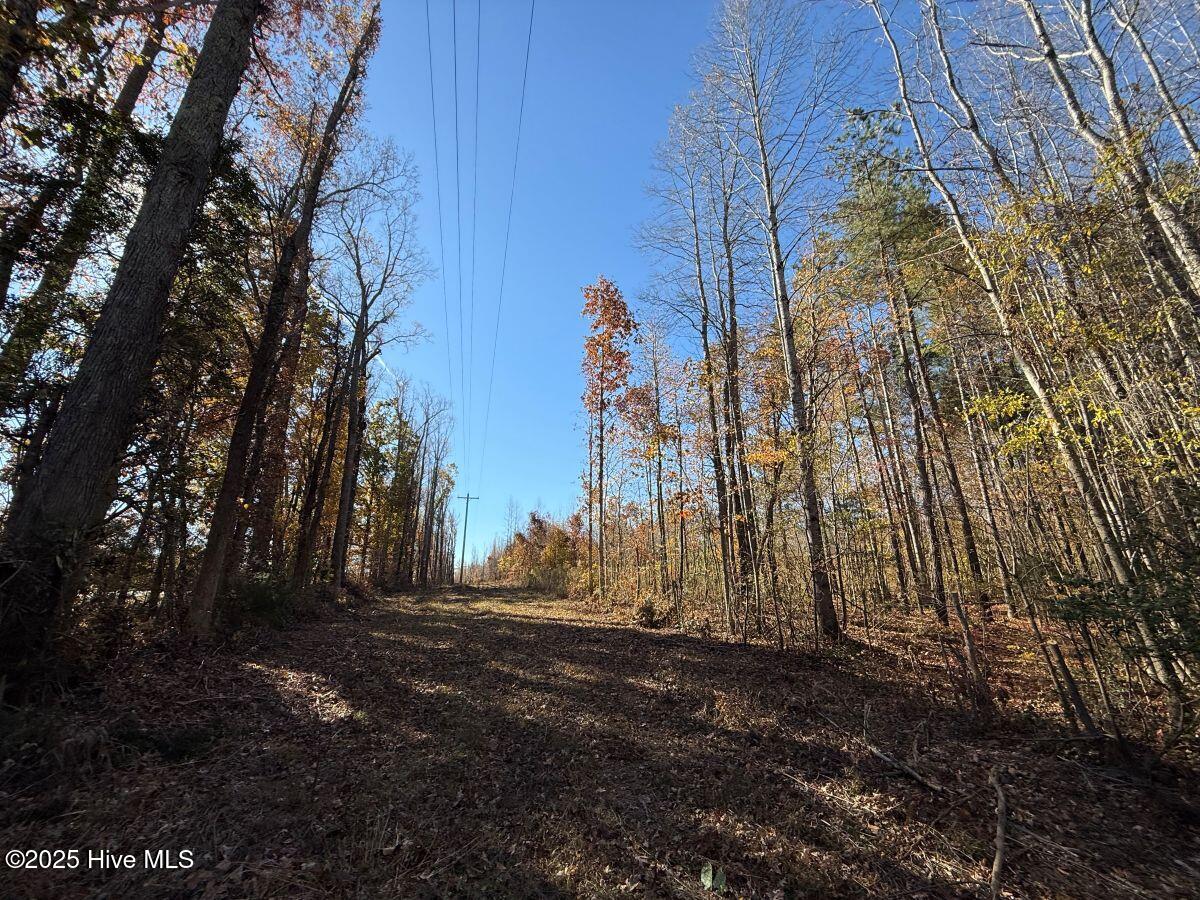 Lot 1 Russell Union Road Manson, NC 27553 - Photo 43 of 60 43