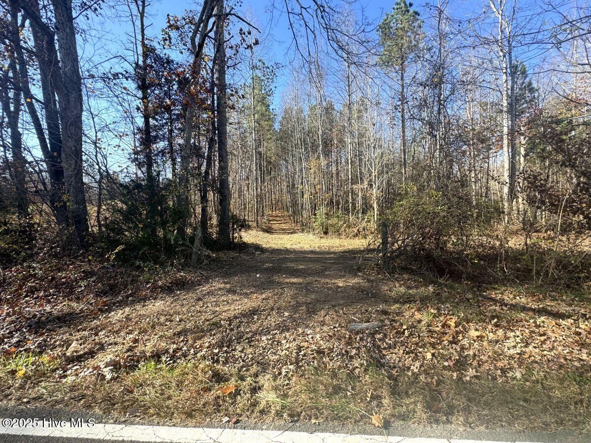 Lot 1 Russell Union Road Manson, NC 27553 - Photo 54 of 60 54