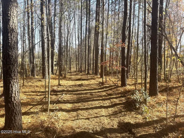 $69,900 | Lot 1 Russell Union Road, Manson, NC 27553