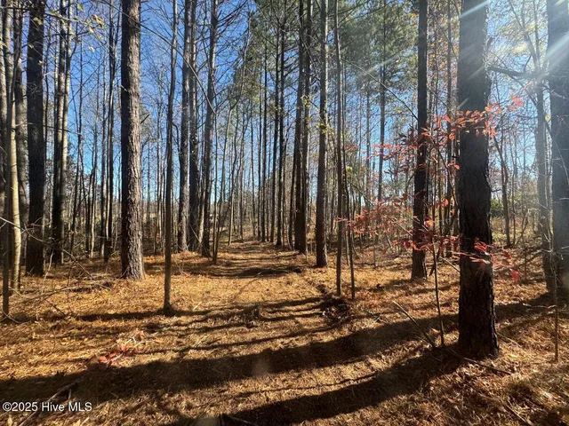 $69,900 | Lot 1 Russell Union Road, Manson, NC 27553